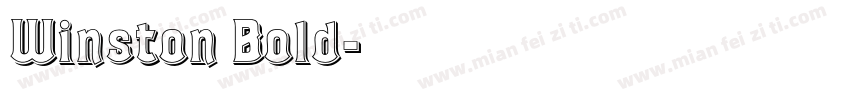 Winston Bold字体转换